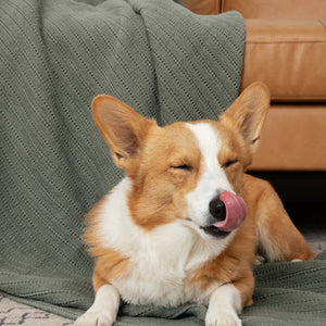 PureCare Dr. Weil Ridgeback Coverlet