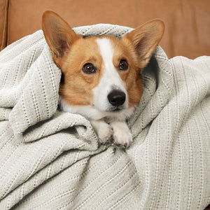 PureCare Dr. Weil Ridgeback Coverlet