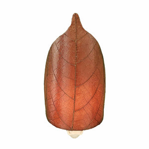 Eangee Leaf Night Light