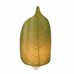 Eangee Leaf Night Light