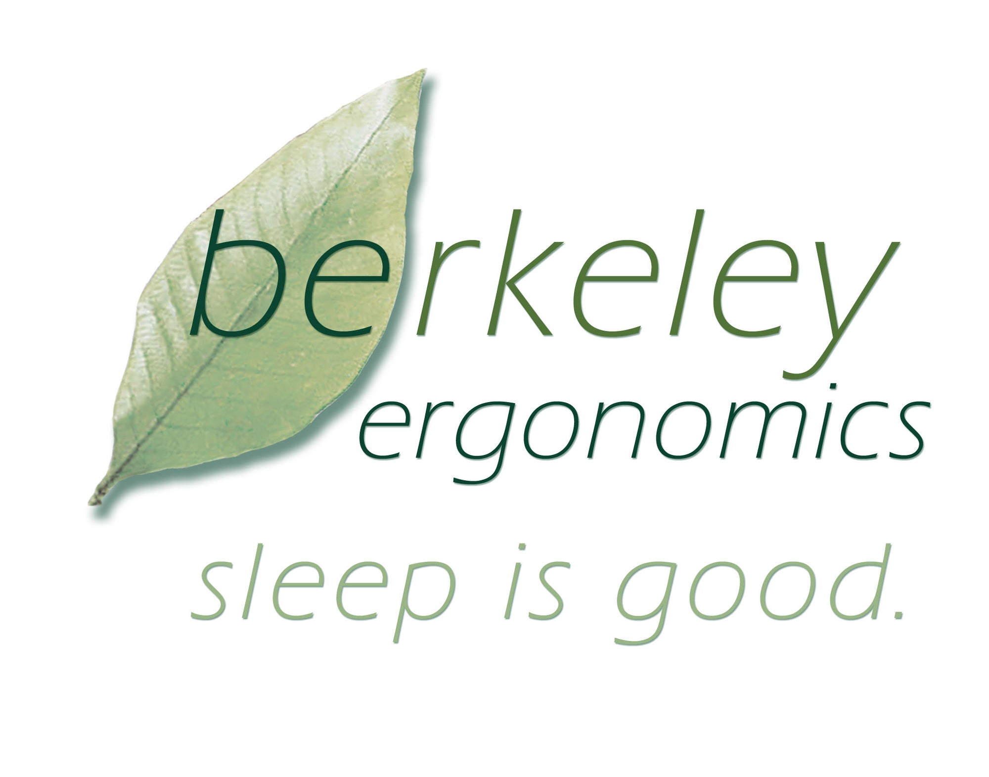 Berkeley Ergonomics Highland Interactive Coil with Latex Mattress